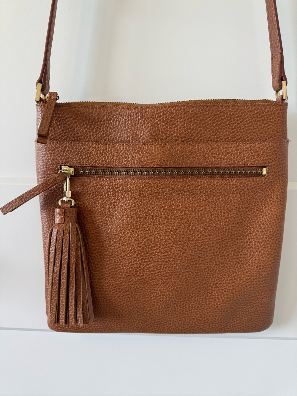 Halogen Brown Leather Crossbody Bag with Tassel Purse